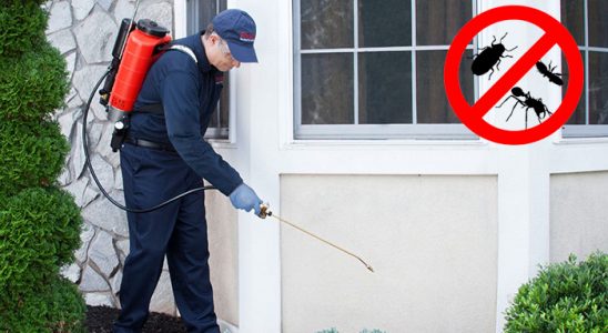 Derepazarı Fare İlaçlama böcek ilaçlama ve haşere kontrolü — ilaclama-tr.com